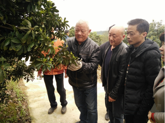 被联合国环境规划署官网推介?一份基层判决书背后的“枫桥式”银发初心接力