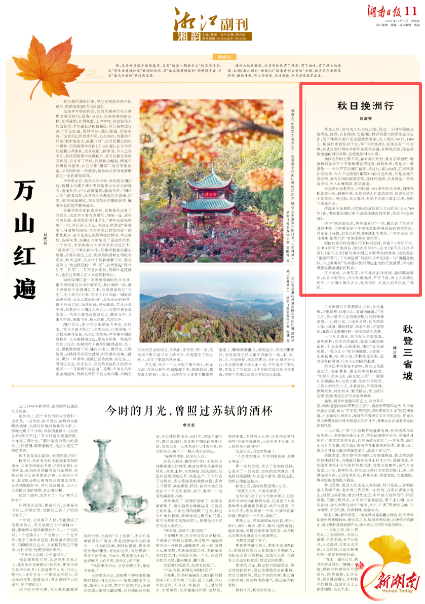 秋日挽洲行|跟着诗词去赏秋·湘江副刊·湘韵