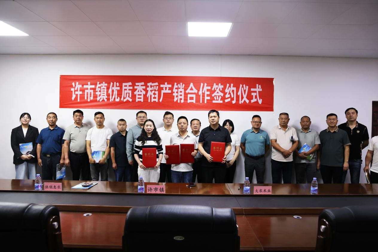 稻浪翻金迎丰收!许市镇开展香夏两优8773优质稻现场观摩会