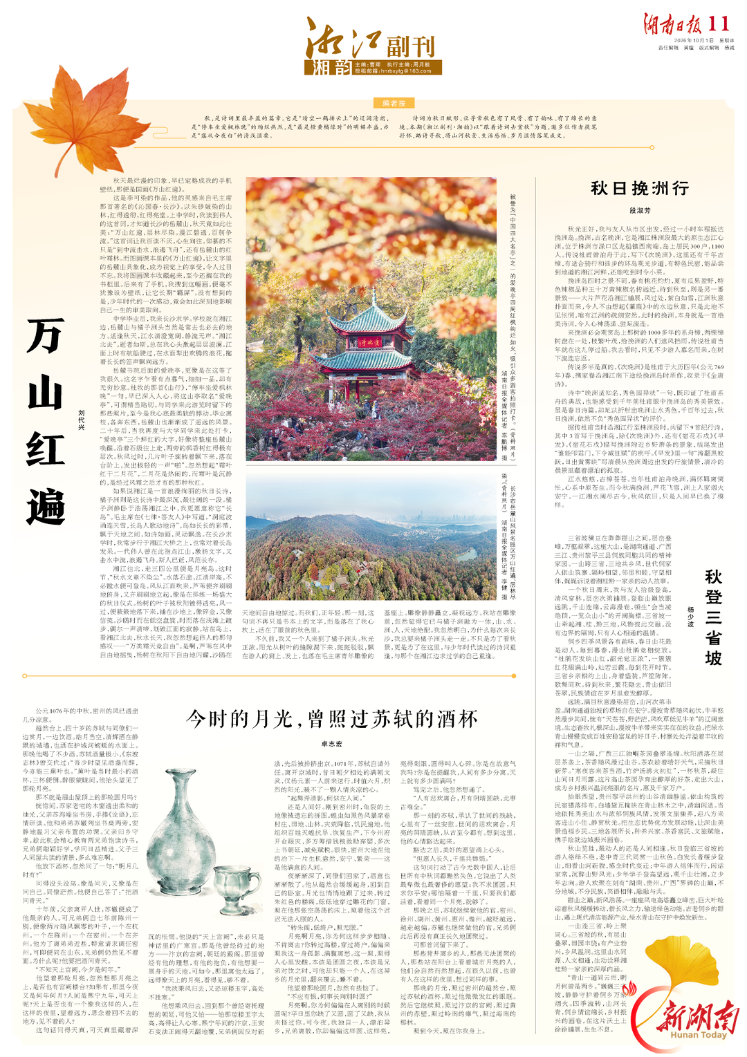 跟着诗词去赏秋|湘江副刊·湘韵