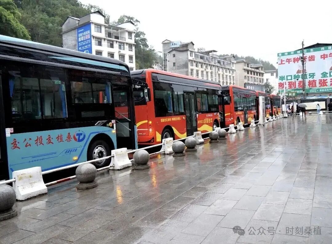桑植20台新能源公交车正式投用 便民出行赋能红色文旅发展