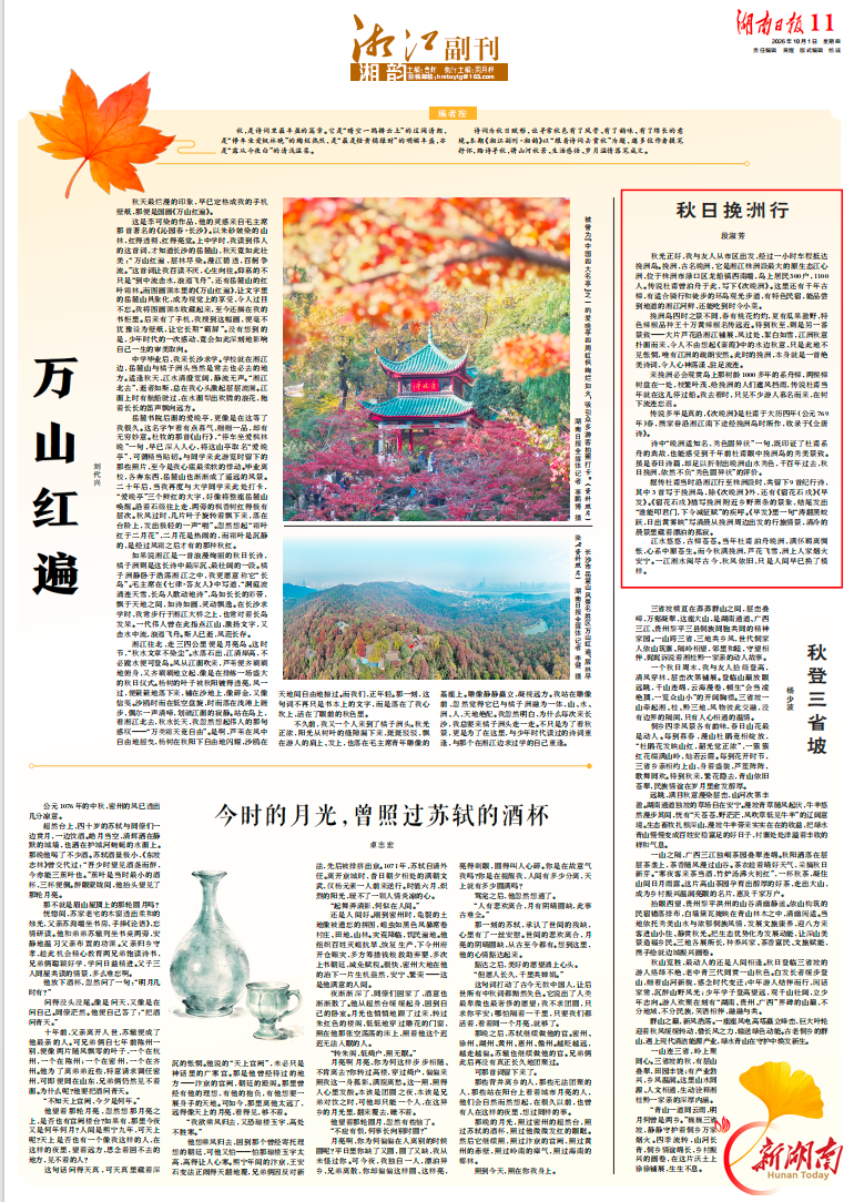 湖南日报|秋日挽洲行