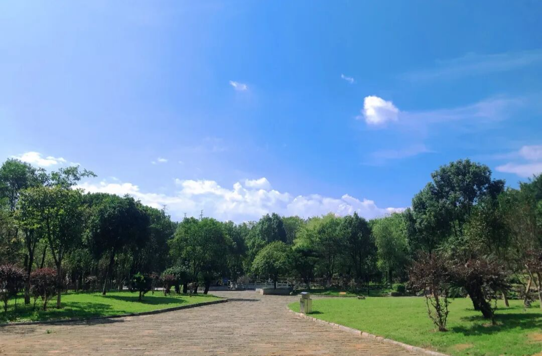 改名升级,国庆前全新开放——郴州小微绿地提质改造再添民生实景