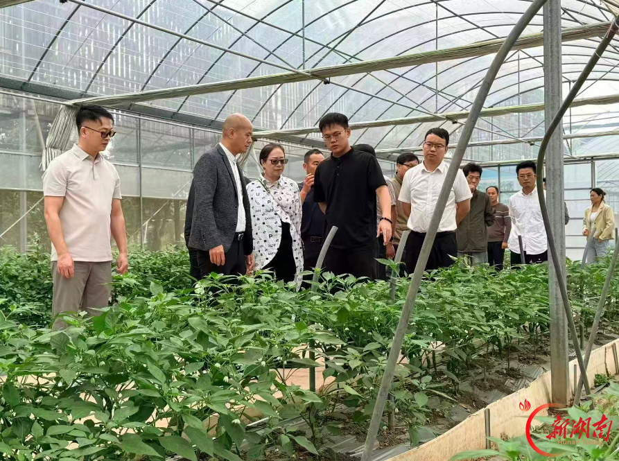 东莞鸿骏集团叶贺年董事长一行来岳考察、洽谈农产品供应链合作