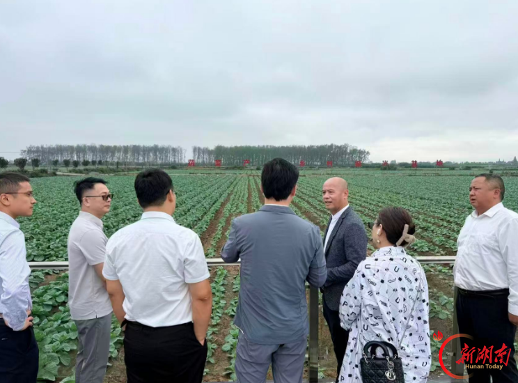 东莞鸿骏集团叶贺年董事长一行来岳考察、洽谈农产品供应链合作