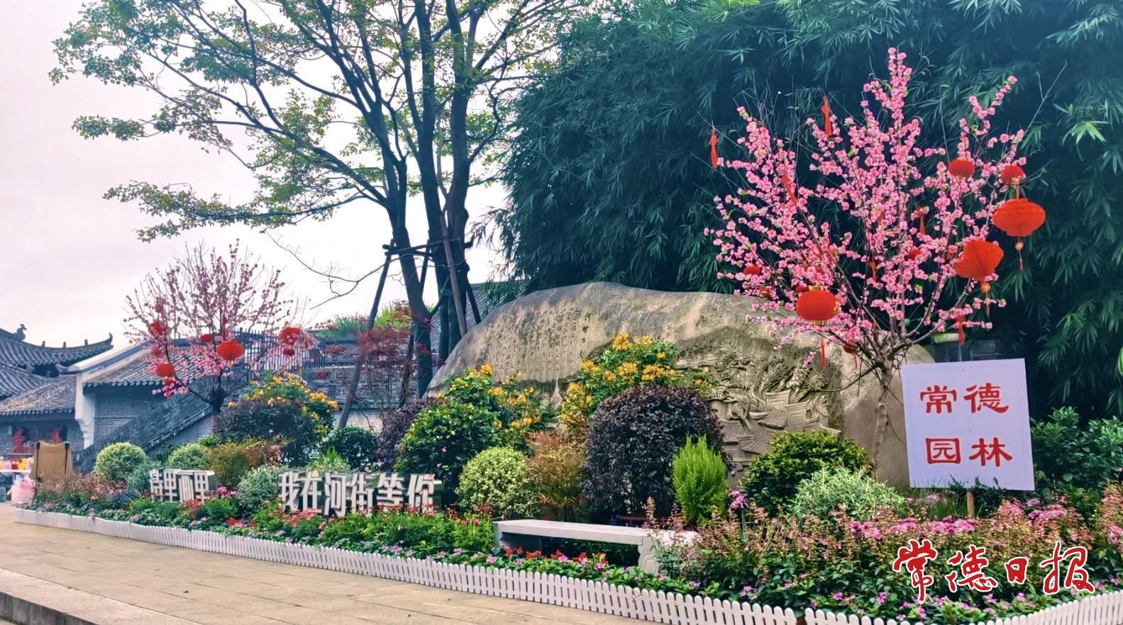 满城繁花迎国庆 常德街头“盛装”待客