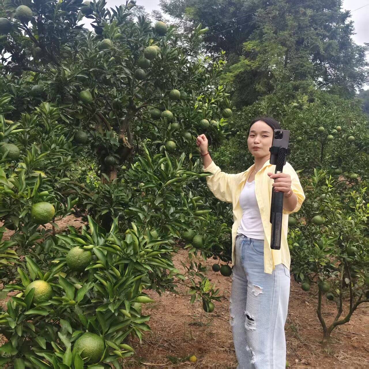 直播间里的“新农活” 村里的柑橘产业闯出新路子