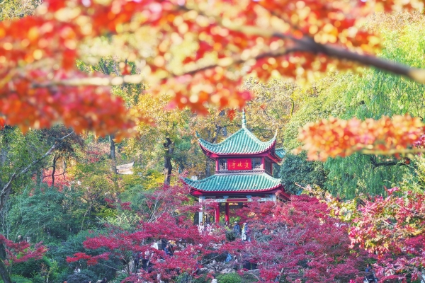 跟着诗词去赏秋|湘江副刊·湘韵