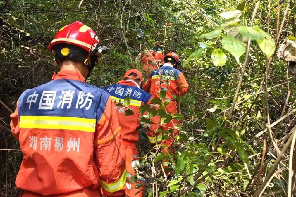 圆满收官！郴州这场硬核实战大练兵交出优异答卷