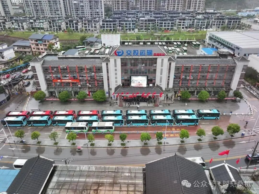 桑植20台新能源公交车正式投用 便民出行赋能红色文旅发展
