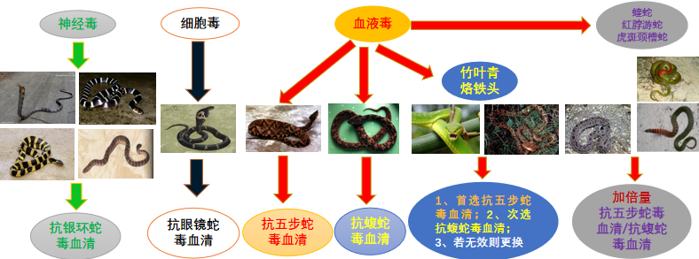 随口一句话,救了他一命!脚上的致命“小红点”险些被忽视