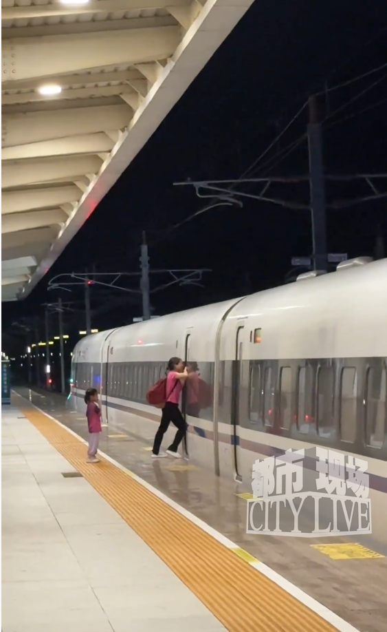 孩子未下车,母亲扒车门试图阻止高铁车门关闭,高铁站回应