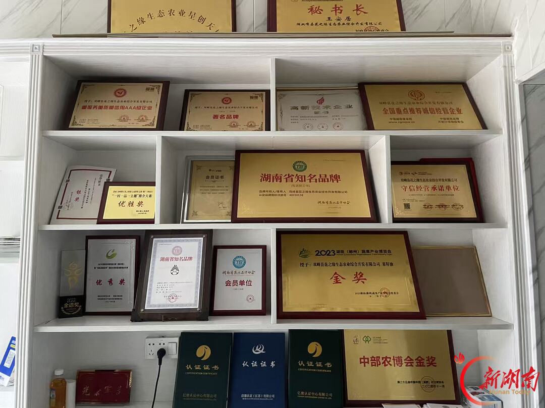 一花兴百业 初心暖万家——记第八届湖南省“人民满意的公务员集体”双峰县锁石镇党委