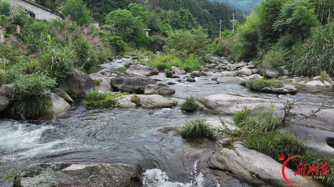 湘行点播丨在平江张师山,寻找张良