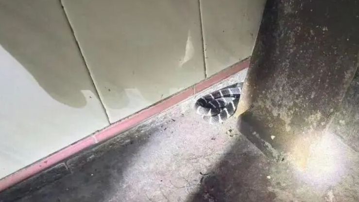 随口一句话,救了他一命!脚上的致命“小红点”险些被忽视