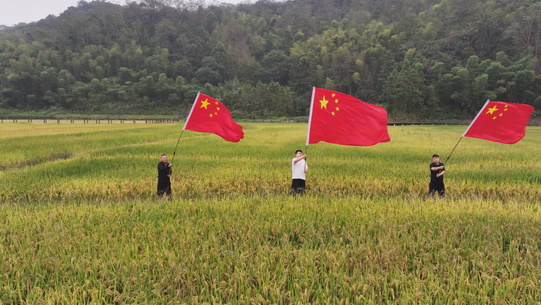 国庆到清溪 乐享秋日慢时光~