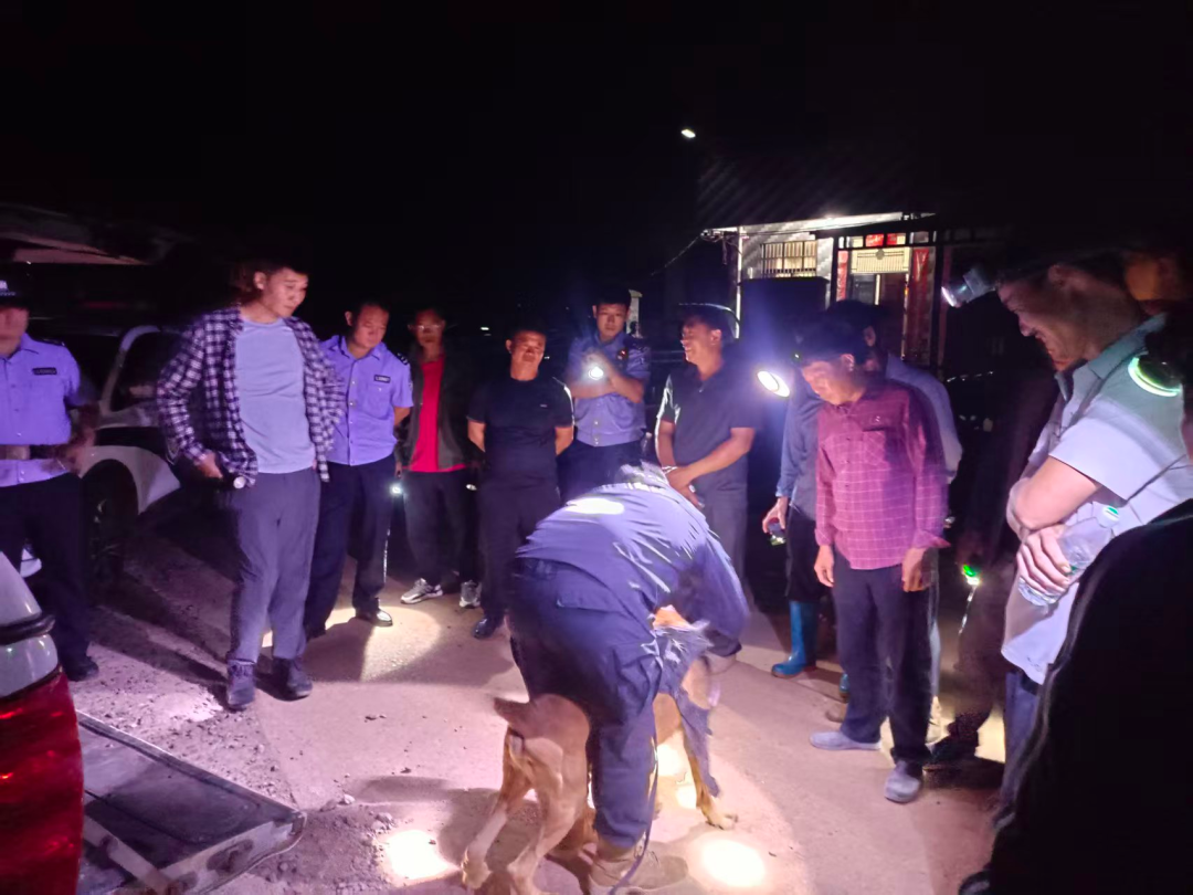 雨夜深山救险,热成像无人机立功!