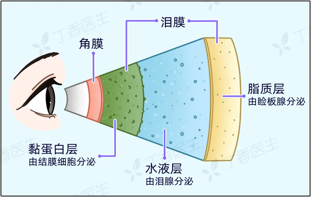 眼睛透支的一个信号,很多人却从没当回事!