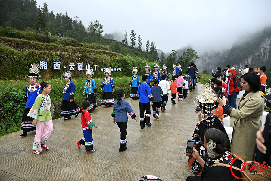 梯田当T台