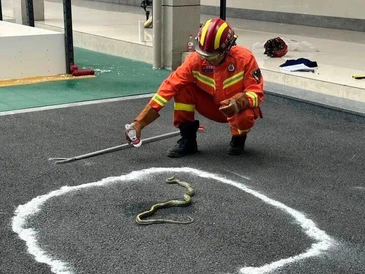 随口一句话，救了他一命！脚上的致命“小红点”险些被忽视