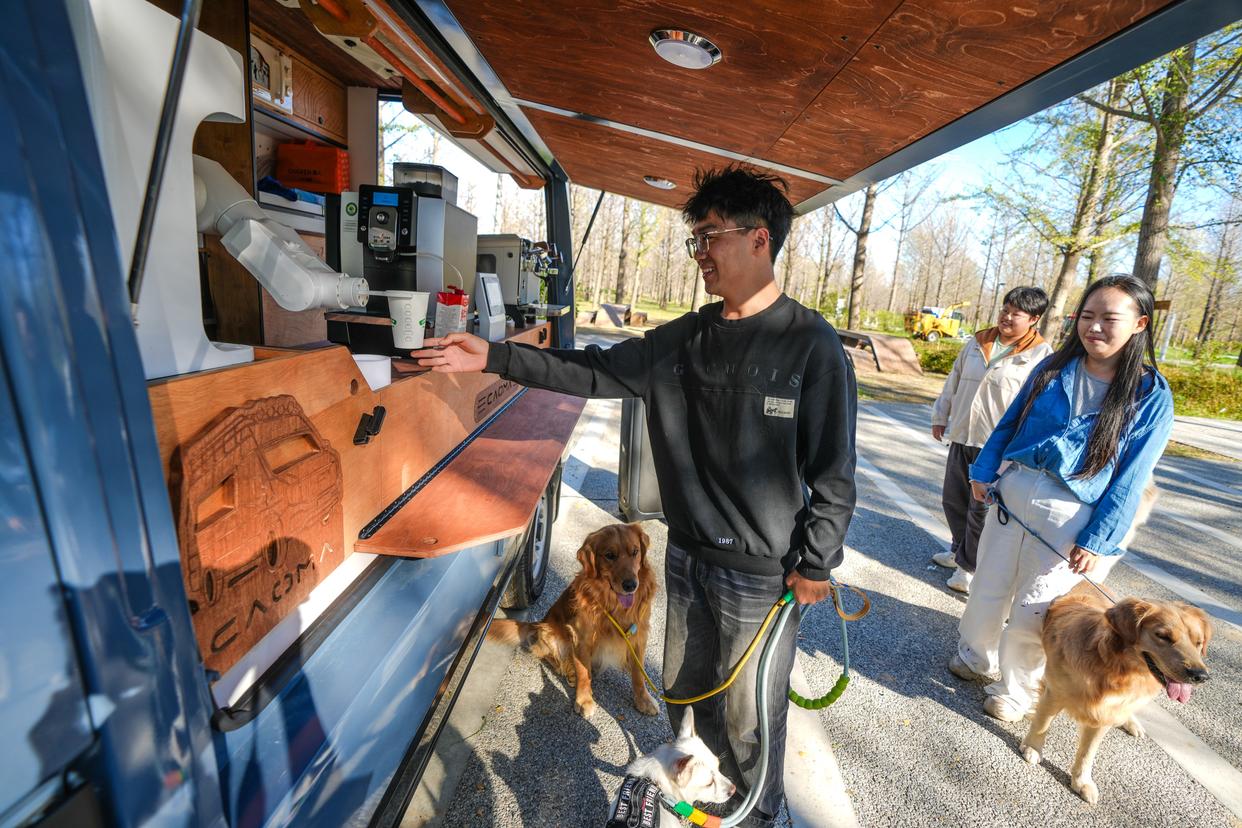京郊赏秋好去处,近6万株银杏即将迎来观赏期