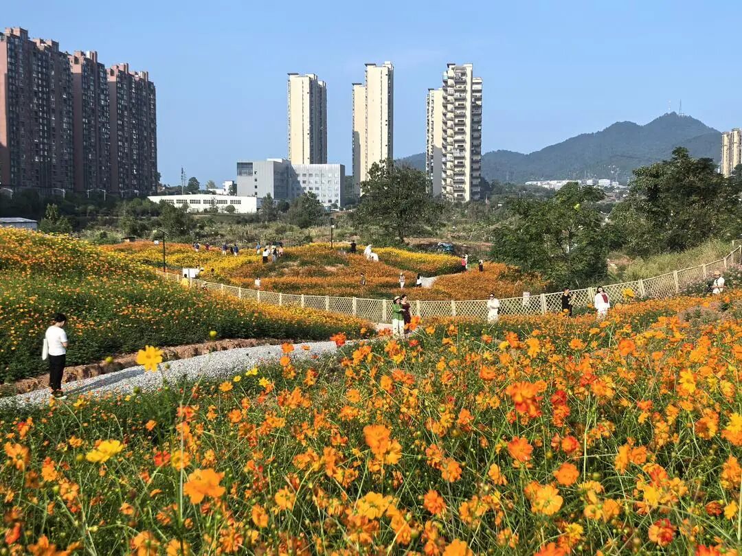湖南真美·一周精选 ㉙丨湖南，满屏中国红