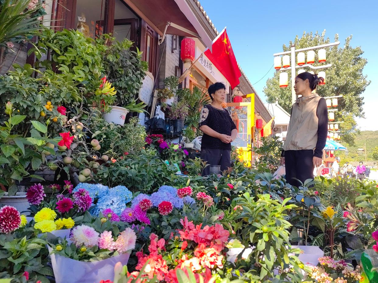北京石景山区模式口驼铃音乐嘉年华开启国庆专场