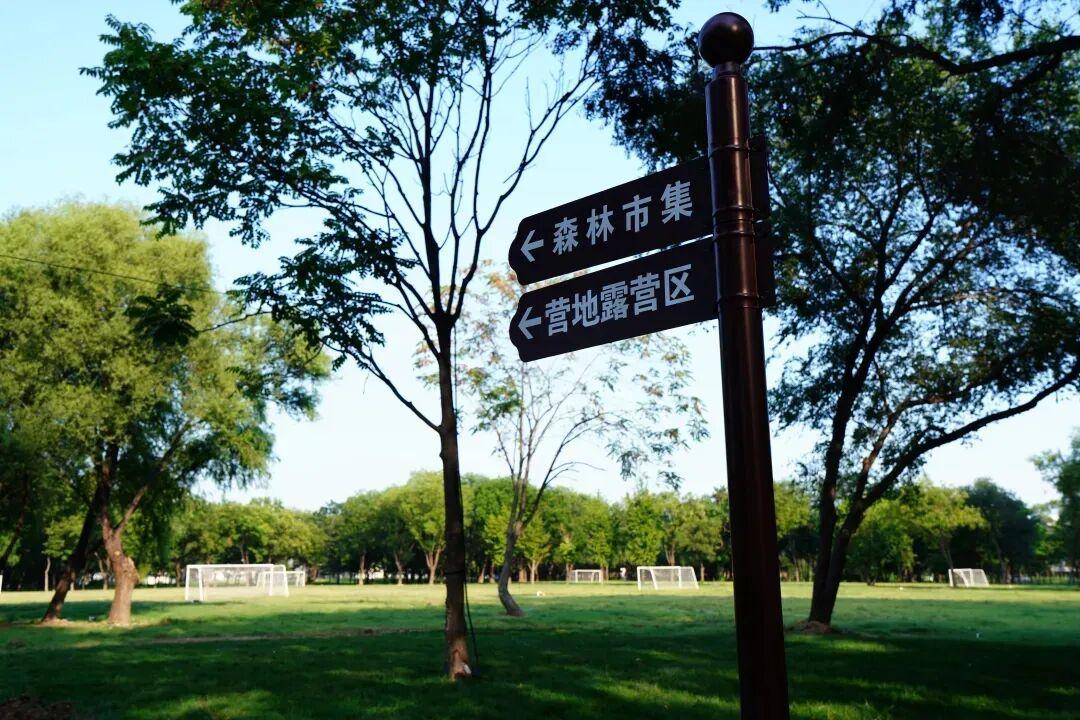 来副中心打卡森林营地!山野寻宝、音乐电影、玩偶巡游全安排~