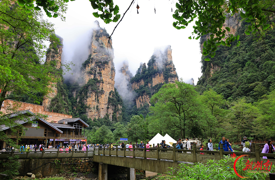 烟雨峰林间 人在画中游
