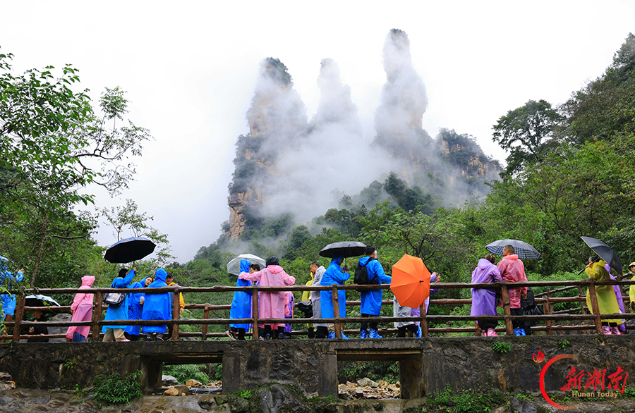 烟雨峰林间 人在画中游