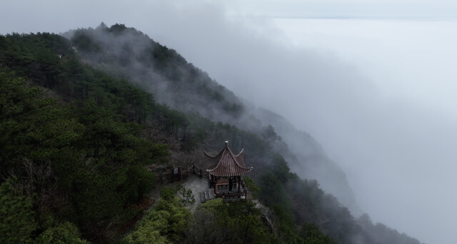 一起“森”呼吸③|幕阜山:在“云端”解锁森林康养