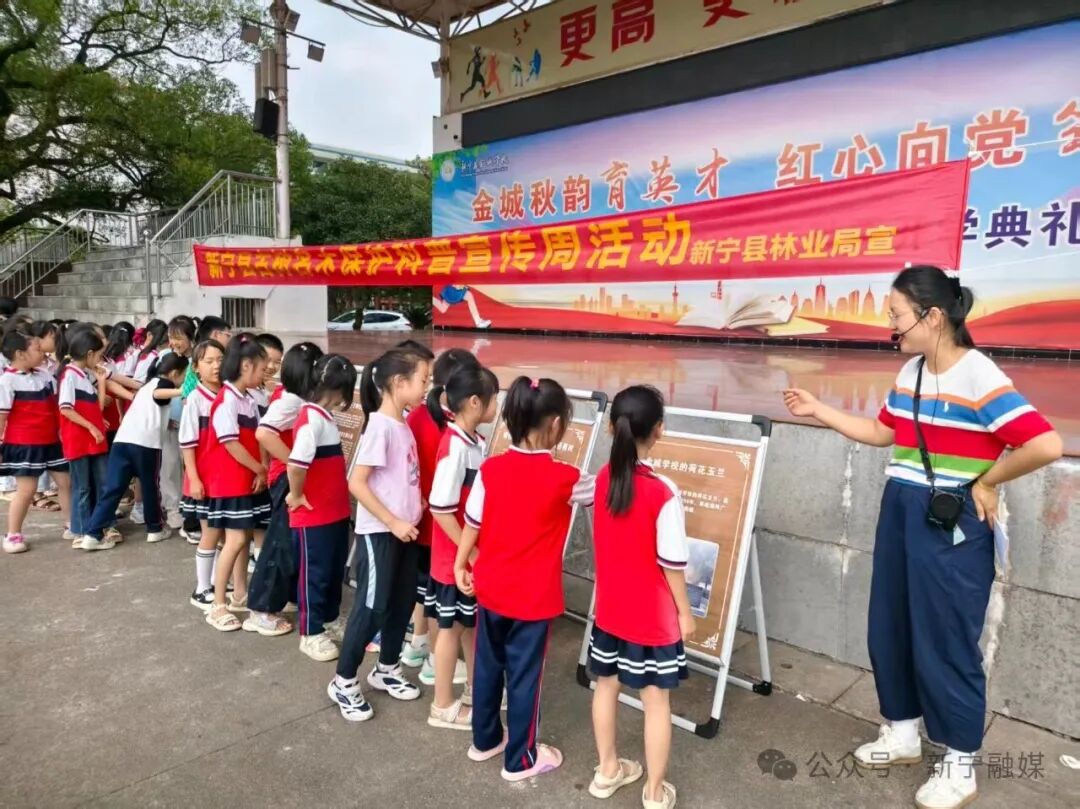 保护古树名木 守护绿色国宝——新宁县林业局开展古树名木保护科普宣传活动