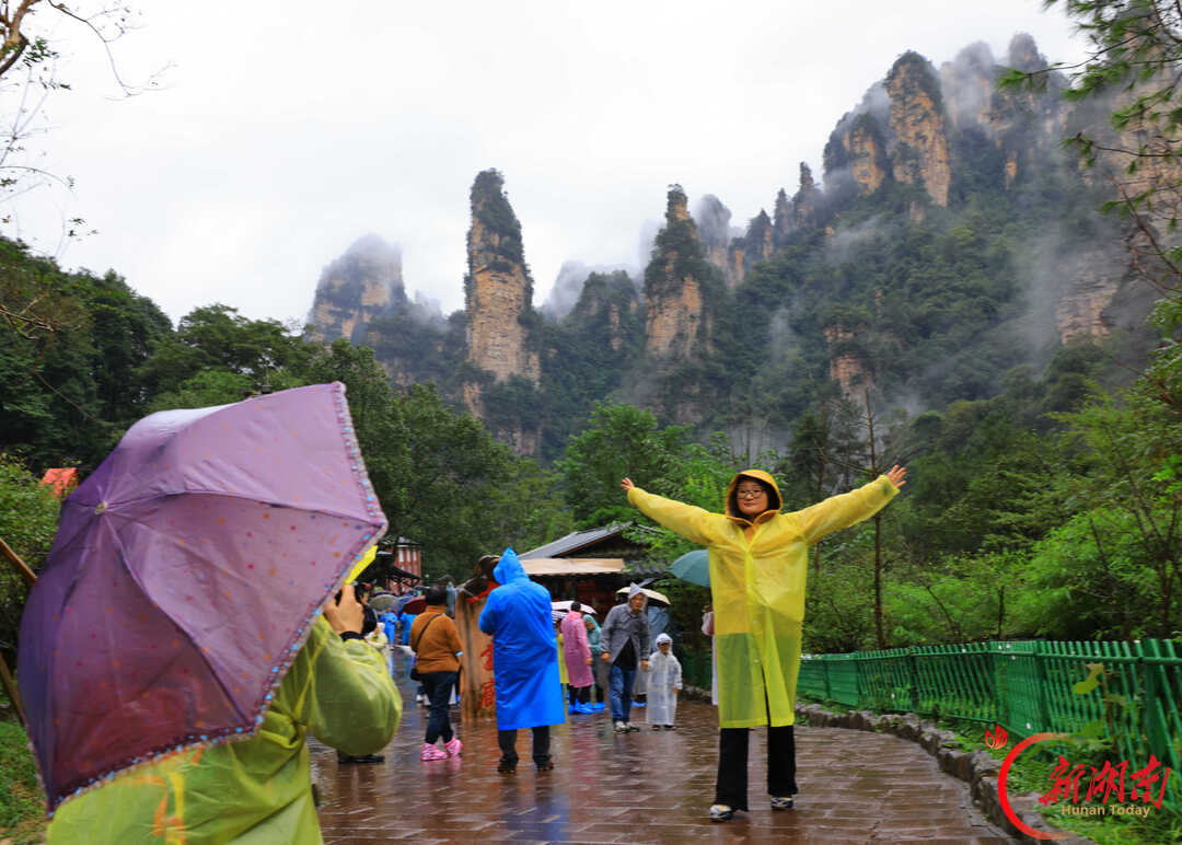 “十一”乐游张家界丨张家界:烟雨峰林间 人在画中游