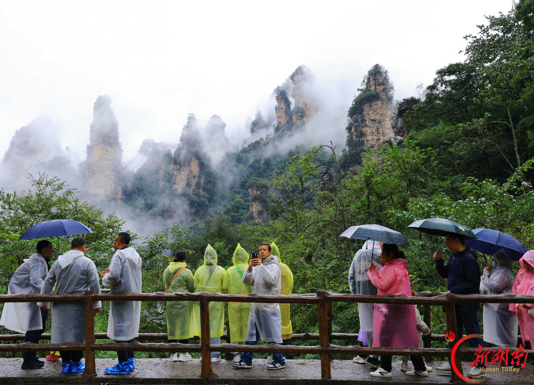 “十一”乐游张家界丨张家界:烟雨峰林间 人在画中游