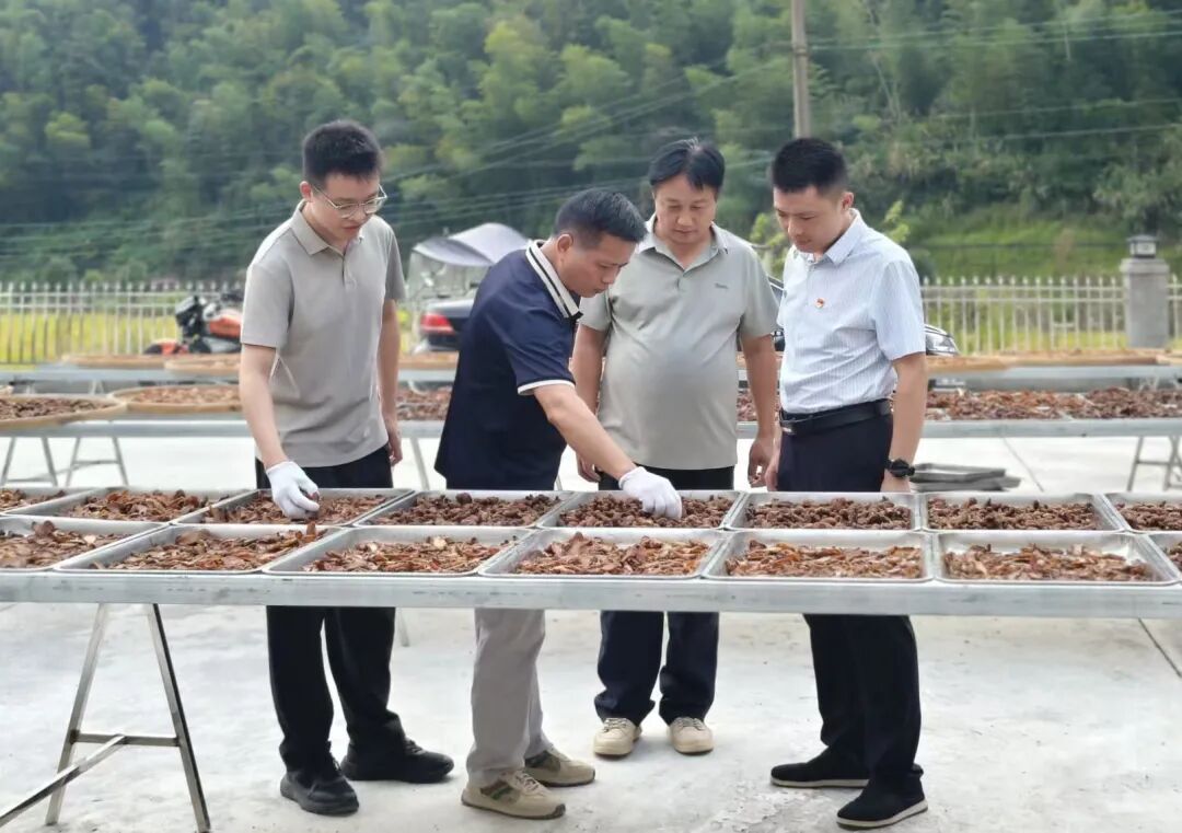 山路十八弯,弯弯见初心——记第八届湖南省“人民满意的公务员”曹传银