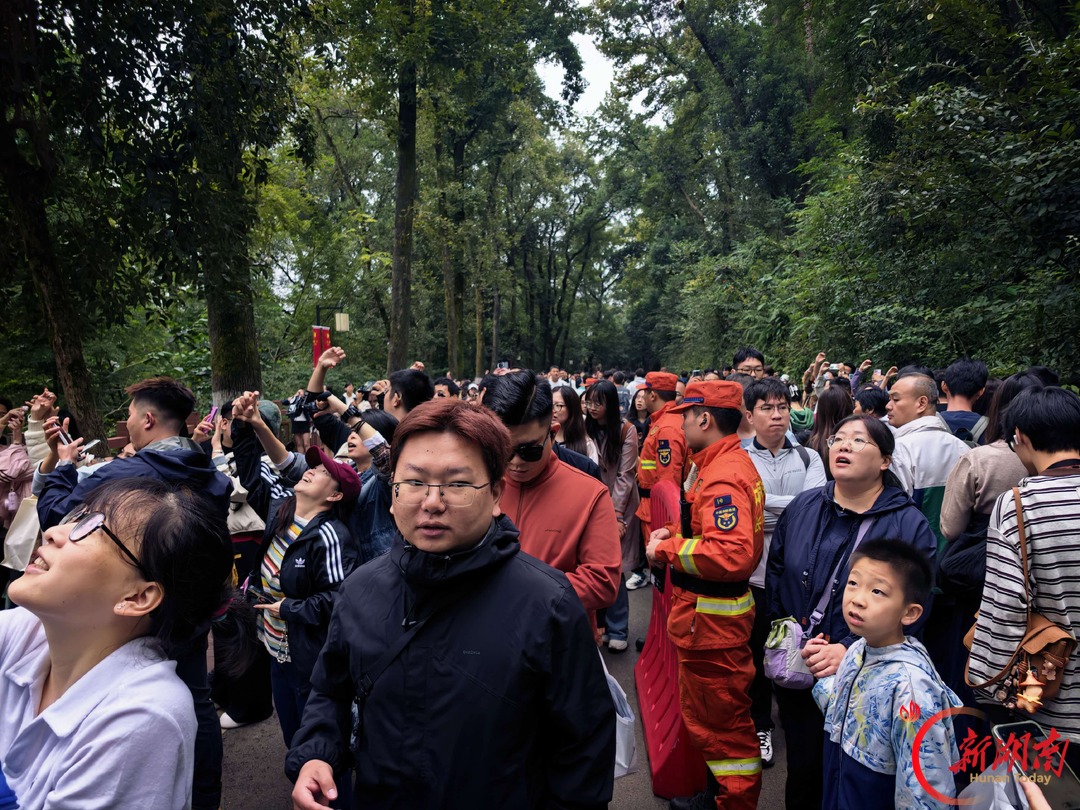 雨天护航 坚守一线!麓山景区全力做好国庆假期游园保障