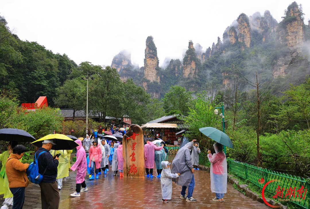 “十一”乐游张家界丨张家界:烟雨峰林间 人在画中游