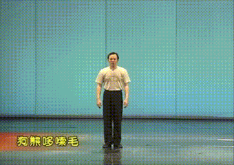 “闪身步”和“狗熊哆嗦毛”为什么这么火？