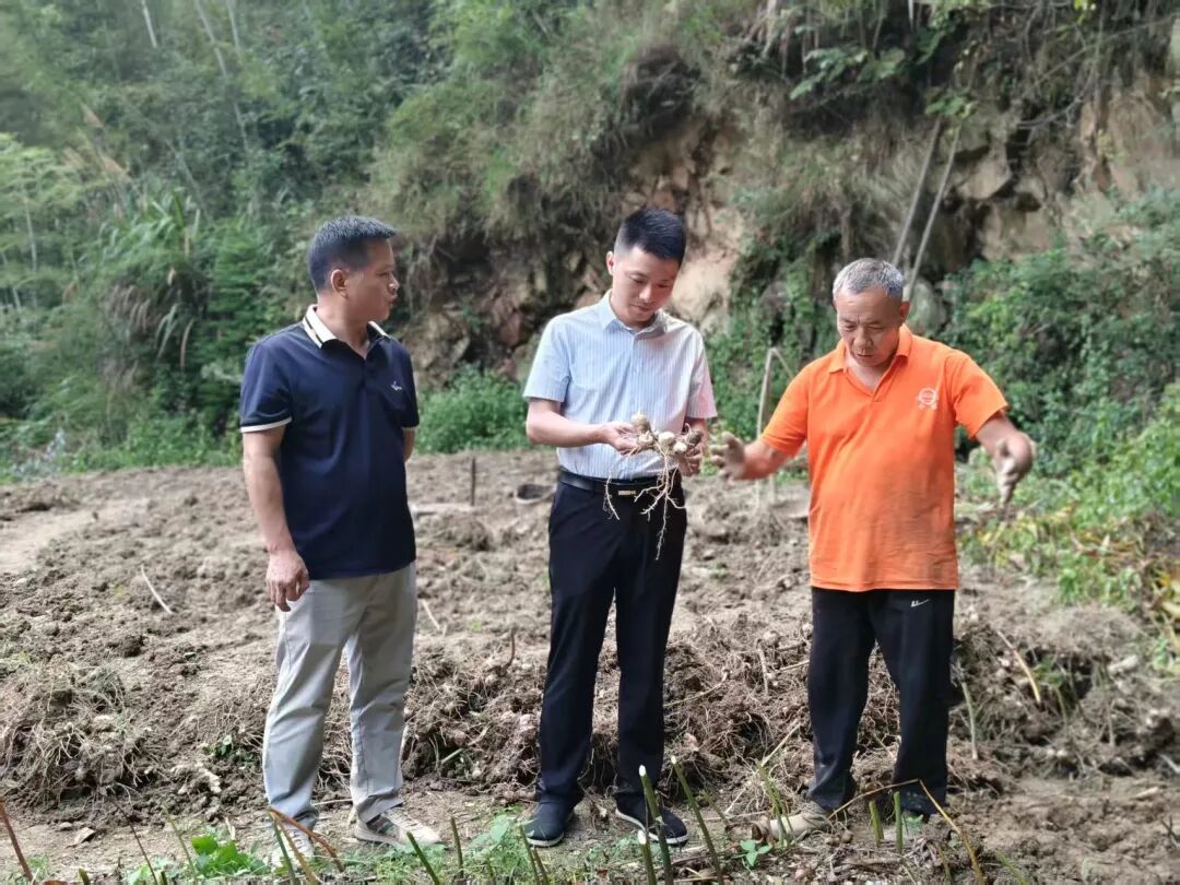 山路十八弯,弯弯见初心——记第八届湖南省“人民满意的公务员”曹传银