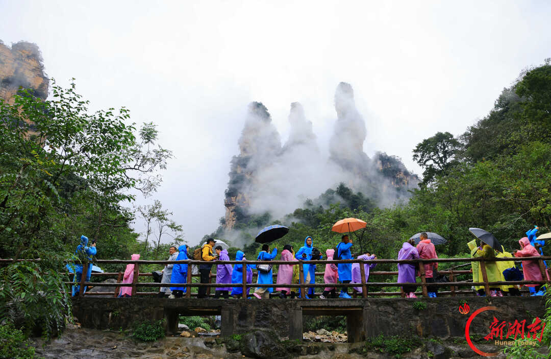 “十一”乐游张家界丨张家界:烟雨峰林间 人在画中游