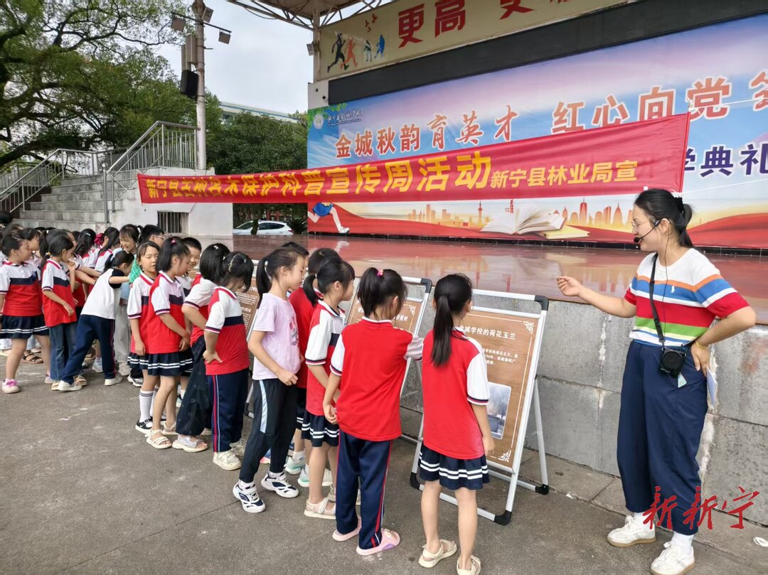 守护绿色国宝!新宁开展古树名木保护科普宣传