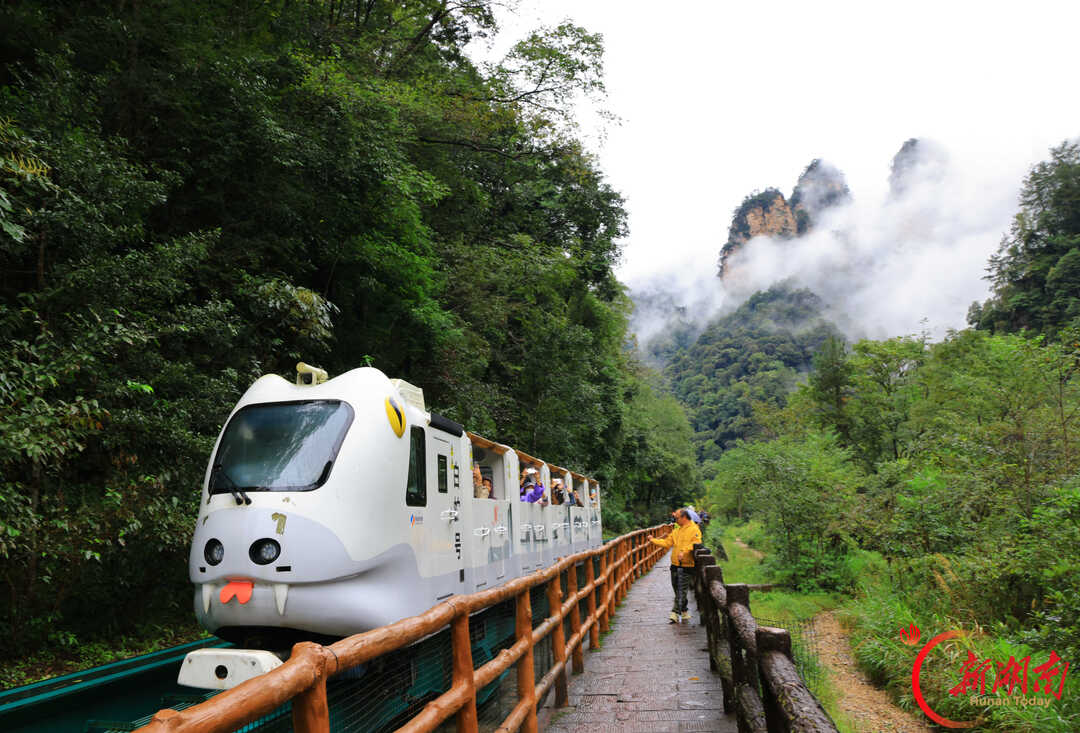 “十一”乐游张家界丨张家界:烟雨峰林间 人在画中游