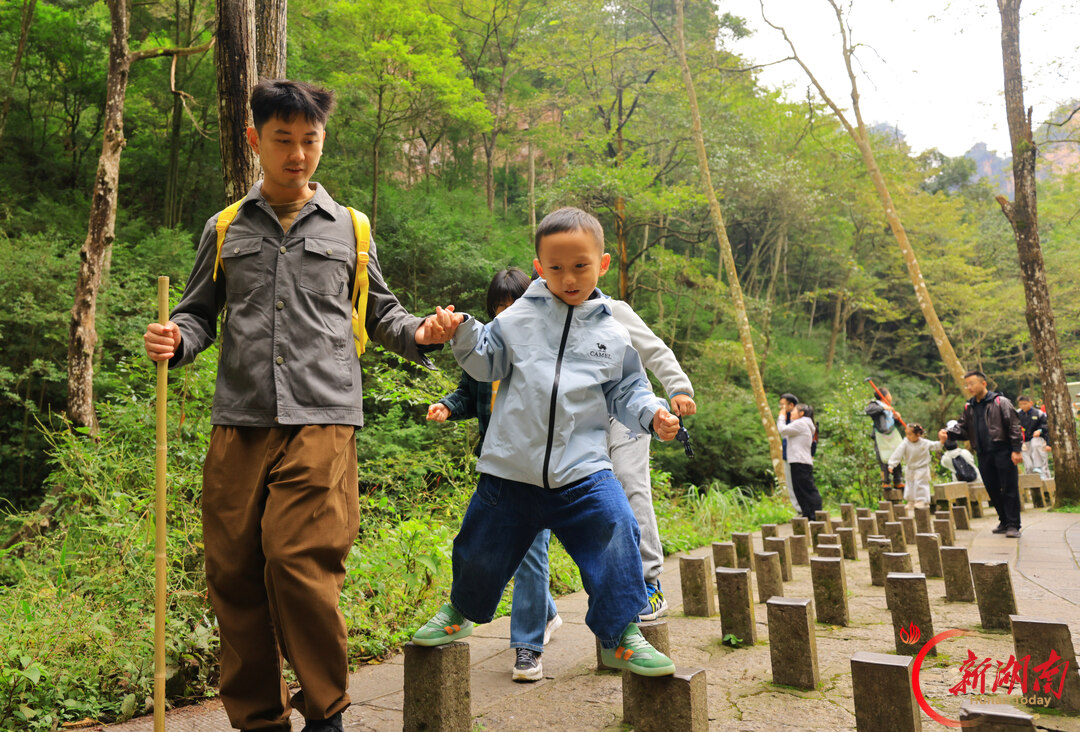 “十一”乐游张家界丨张家界国家森林公园迎来旅游热潮 接待秩序井然