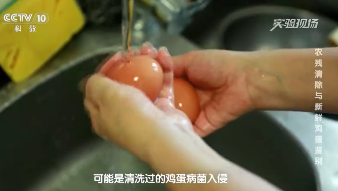 一家三口吃水洗鸡蛋后中毒,专家:买回来的鸡蛋千万别洗,脏了用干布擦,储存时需大头朝上