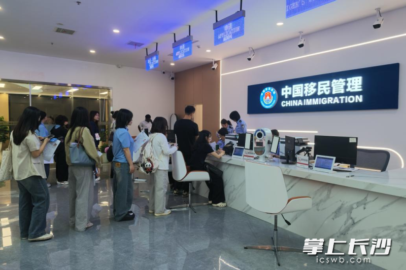 创业第一步怎么走？长沙这座“创业港”为中外青年搭台