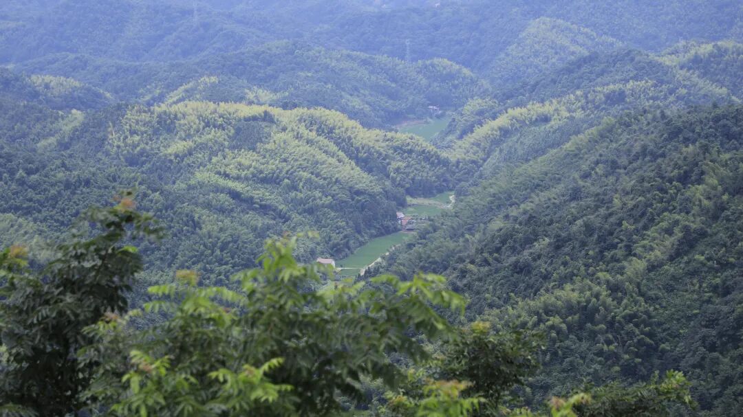 说走就走，就去渌口| 登高寻秋！山湖风光交“萌友”