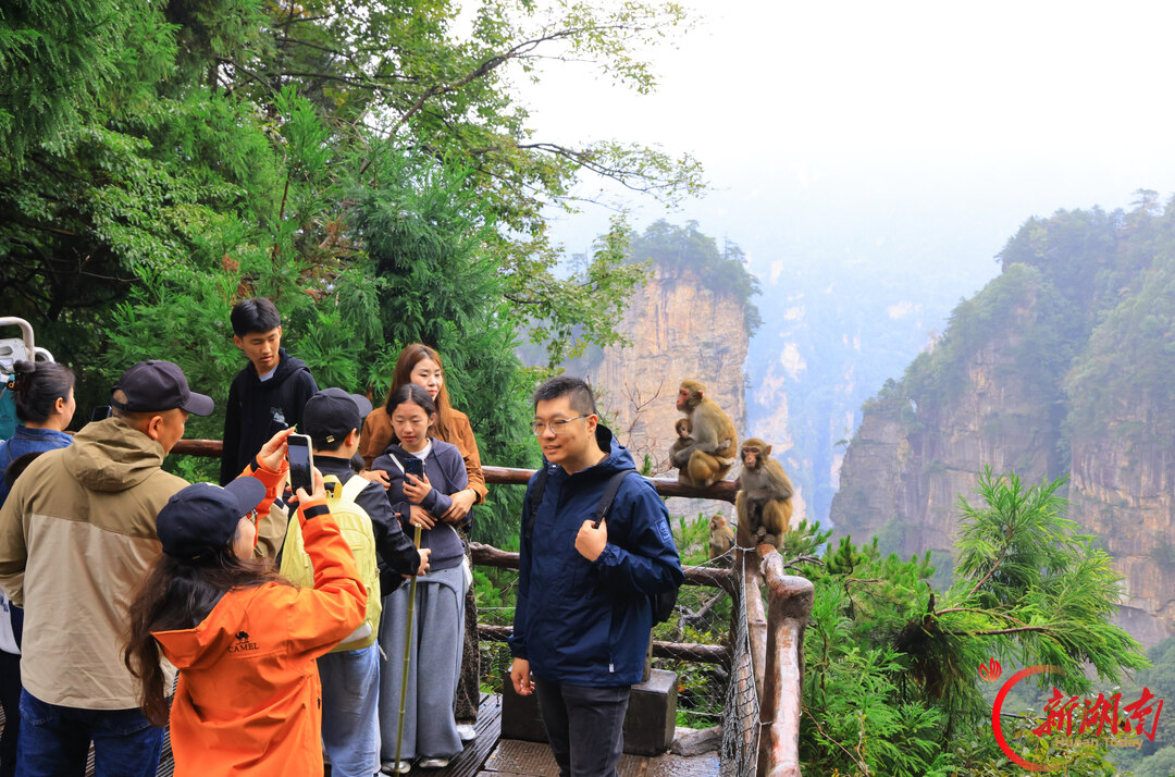 “十一”乐游张家界丨张家界国家森林公园迎来旅游热潮 接待秩序井然