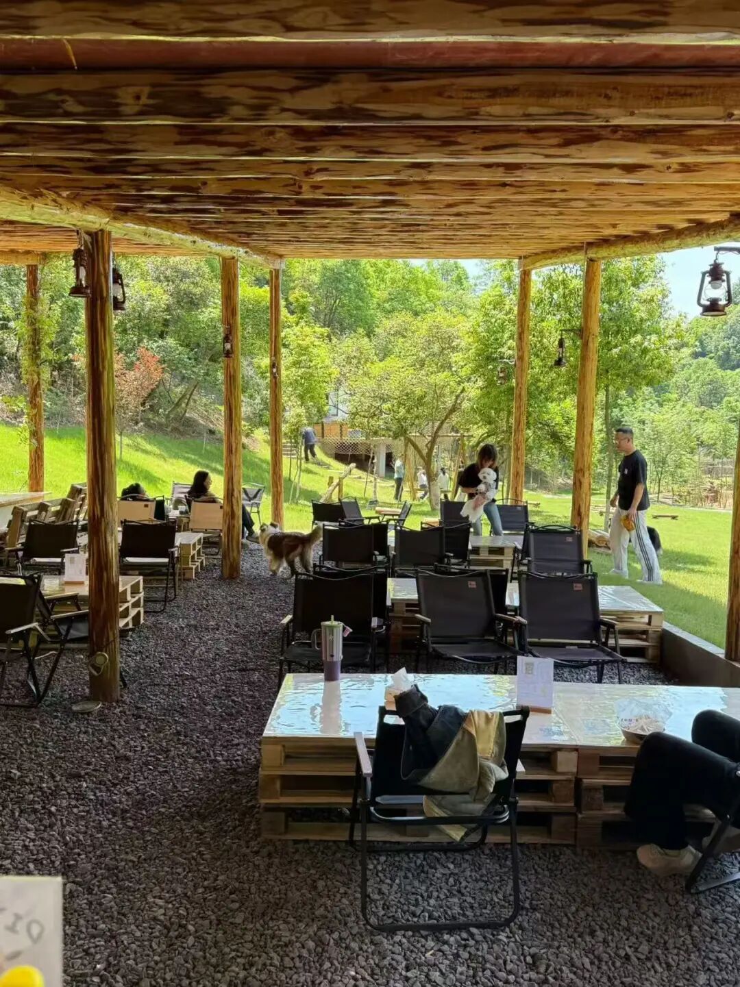 说走就走,就去渌口| 登高寻秋!山湖风光交“萌友”