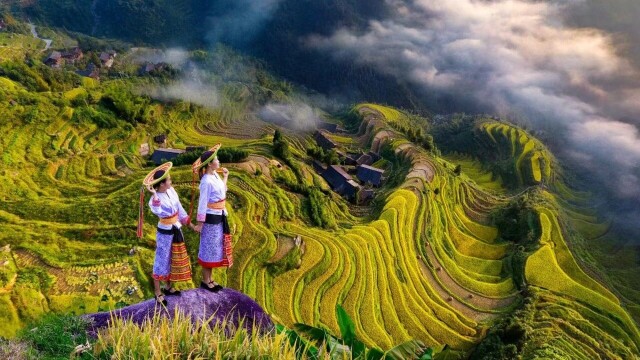 一起“森”呼吸④|虎形山:云上花瑶,在山野间体验非遗浪漫