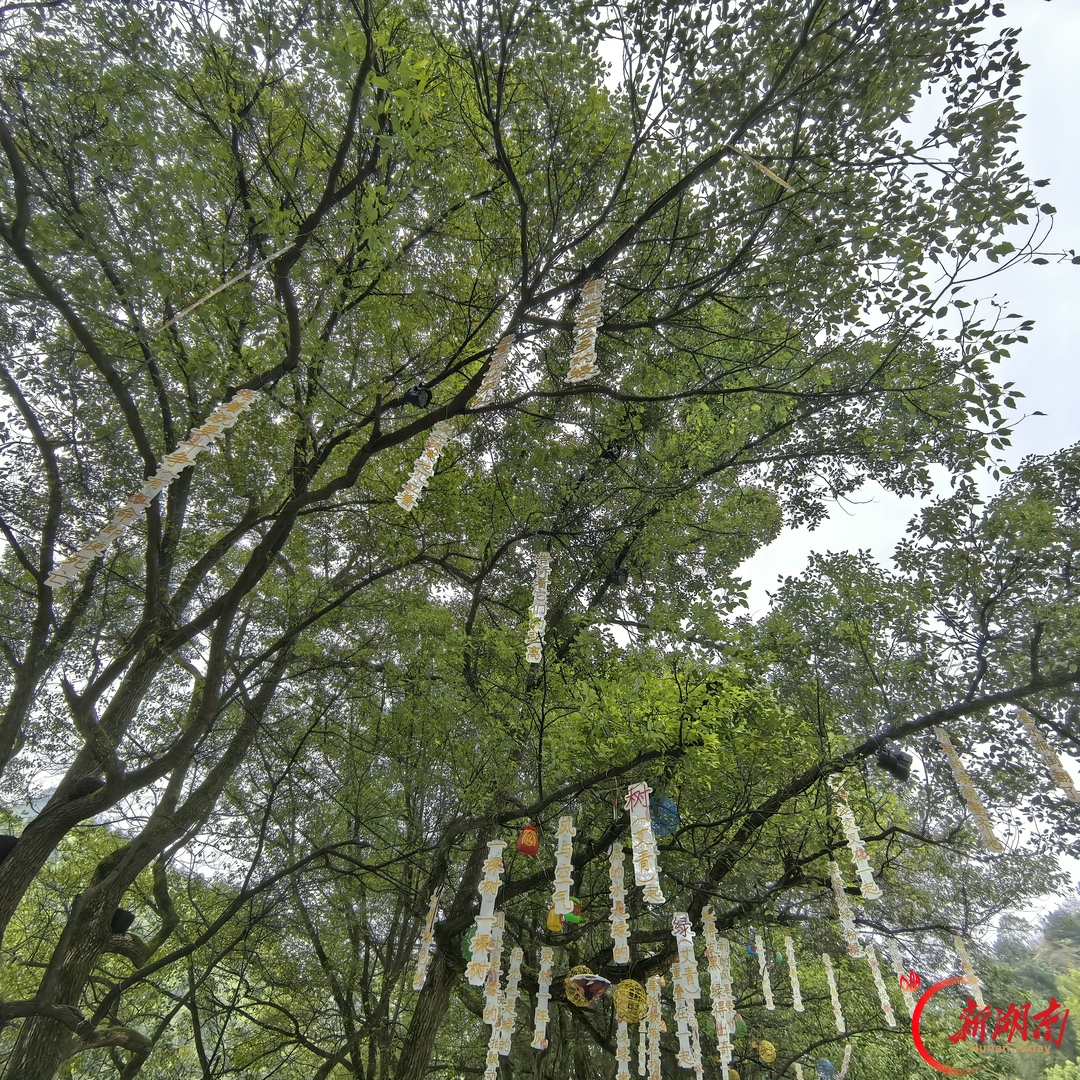 散文 | 丹霞不语